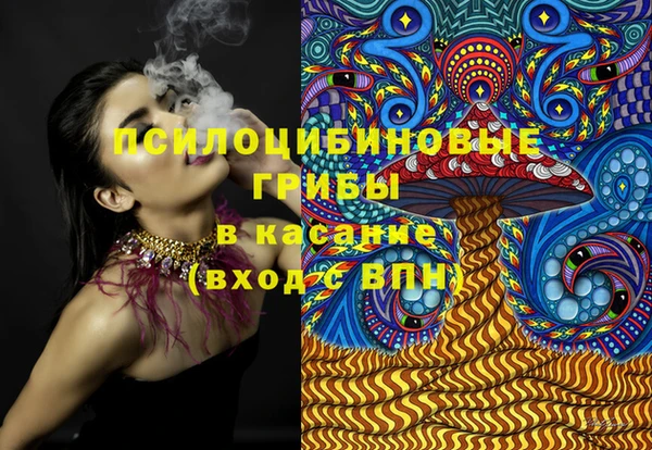 2c-b Алзамай
