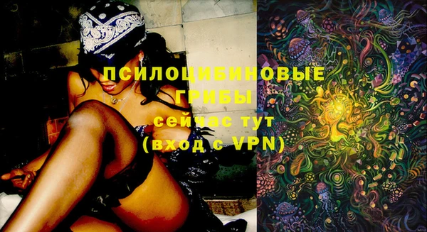 прущий лед Алексеевка
