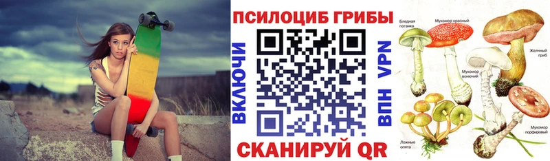 kraken ссылки  Урай  Галлюциногенные грибы Cubensis  купить наркотики цена 